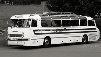  / Ikarus55