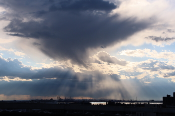 Evening / ***