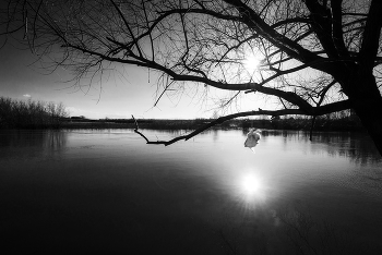 Ohne Titel / ***