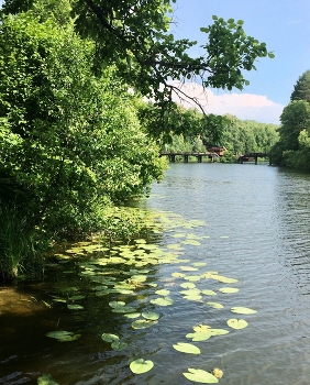 On the river / ***
