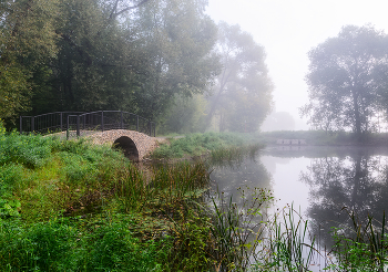 Morgennebel / ***