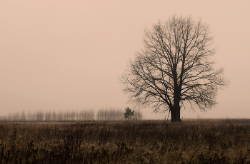 Two loneliness / ***