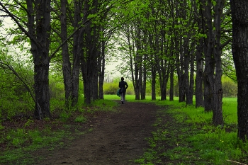 Spring forward / ...