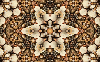 Seashell kaleidoscope / Kaleidoscope effect on a bunch of scattered seashells