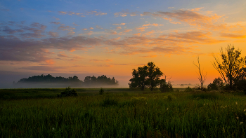 At dawn / ***