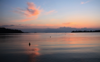 In anticipation of the morning ... / ***