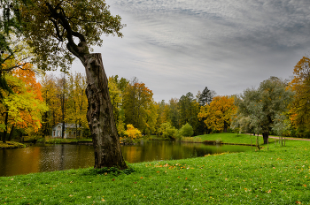 Autumn / ***