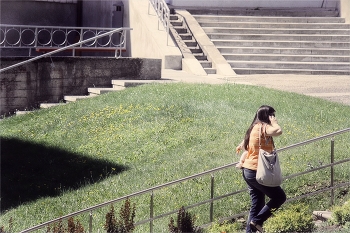 &nbsp; / 2012