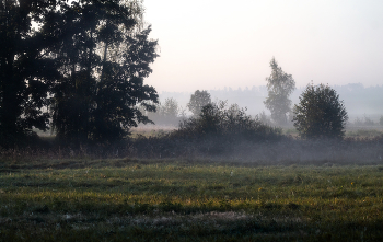 Am frühen Morgen / ***