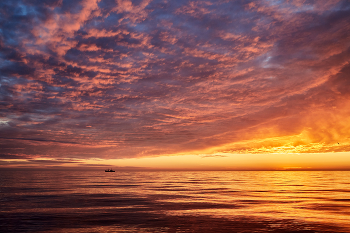 fiery sunset 2 / ***