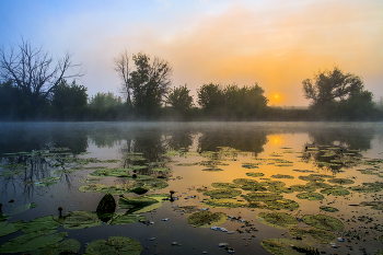 Morgendämmerung / ***