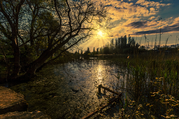 Evening on the lake / ***