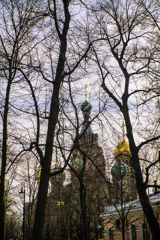 St. Petersburg / https://www.instagram.com/vaguro_v_u_v
https://web.facebook.com/evgeniy.vagouro
https://vk.com/e.vaguro
https://www.youtube.com/user/MsREPOMEN