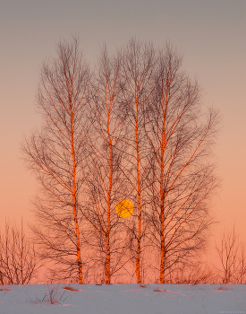 Symmetry / ***