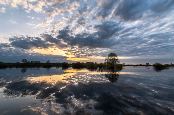 Morgendämmerung / ...