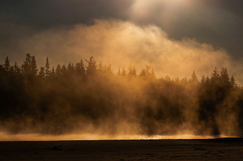 Foggy morning / ***