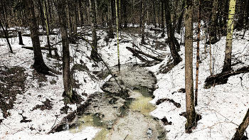 Creek / ***