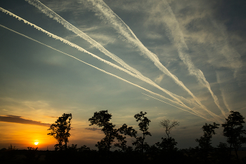 sky striped / ***