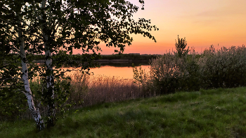 A quiet evening / ***