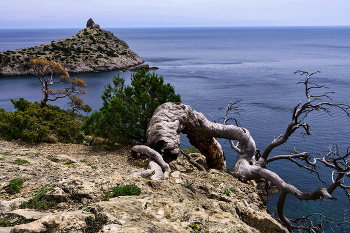 Cape Kapchik / ***