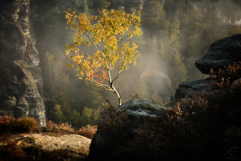 *Autumn sketch** / ***