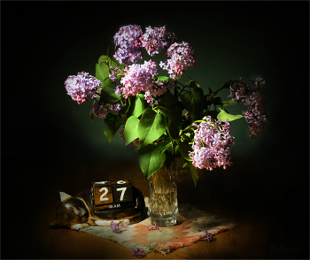 lilac / ***