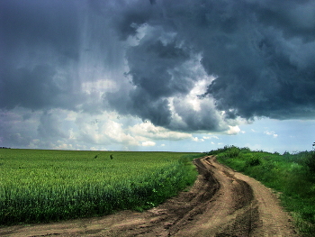 regen wird gehen / ***