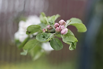 &nbsp; / &quot; &quot; &quot;