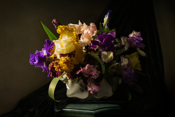 Irises / ***