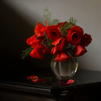 Poppy time / ***