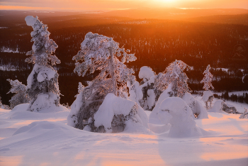 wenig Winter / ***
