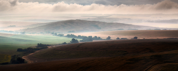 Regnerischen Morgen / ***