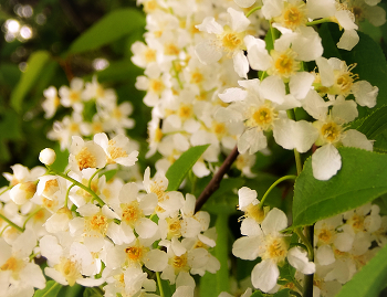 &nbsp; / 23.05.2022.