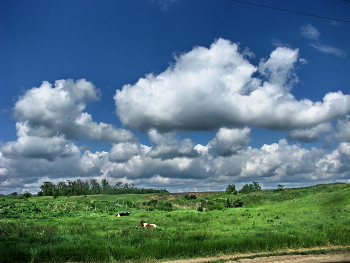 On the outskirts / ***