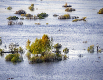 Island / ***