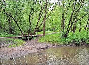 The bridge in the park / ***