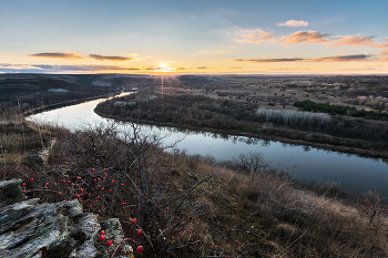 ringing silence / ***