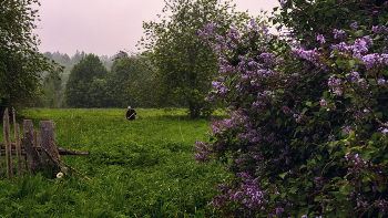 Life around / ***