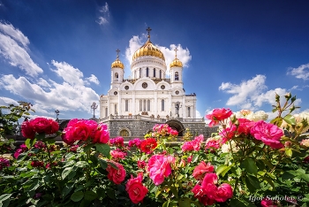 Christ-Erlöser-Kathedrale / ***