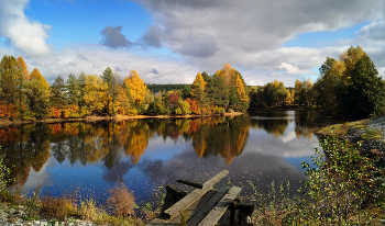 Pond / ***