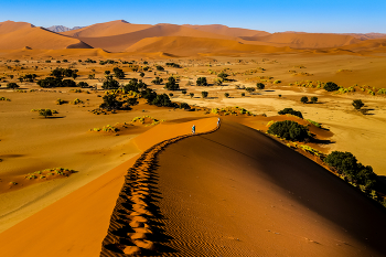  / aufgenommen in der Namib