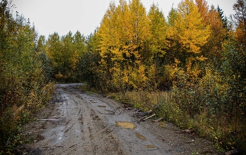 Eh road ... / ***
