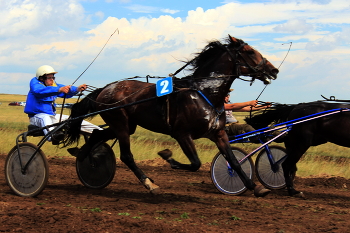 races / ***