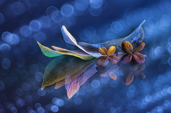 color intermedia... / 2022