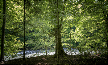 In der Gebirgsfluss / ***