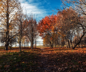 Herbst-Tag / ***