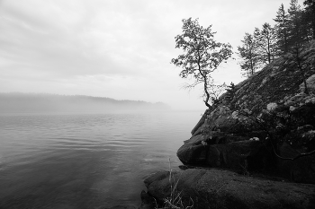 Nebel zerstreut / ***