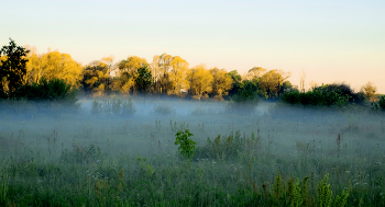 Nebel in der Morgendämmerung. / ***