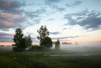 Abendnebel / ***