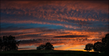 Alchemy of Fire / ***